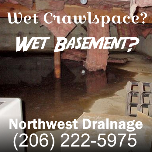 wet basement, wet crawlspace services Seattle, Tacoma and Everett